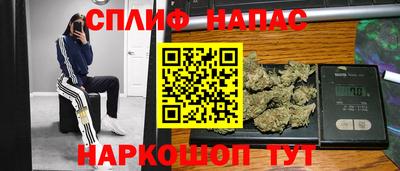 jwh Камышлов