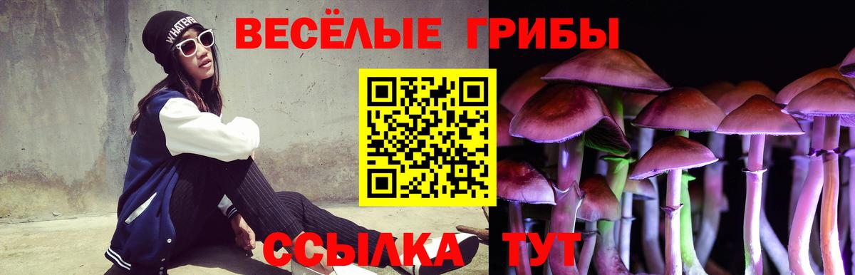 Галлюциногенные грибы Cubensis Дзержинский